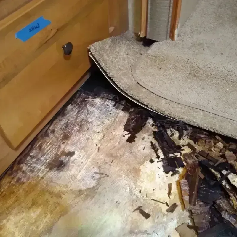 Wood Floor Water Damage in Marion, KY